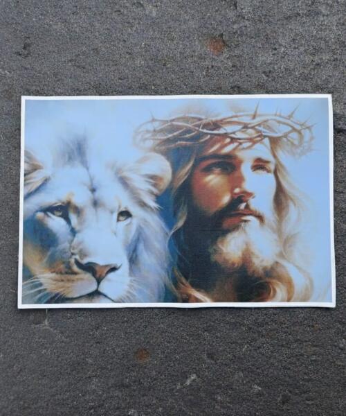 Jesus and Lion Canvas Print • Biblical Christian Wall Art • 20x30 cm Religious Modern Art • Jesus Art Print • Lion of Judah Christian Print