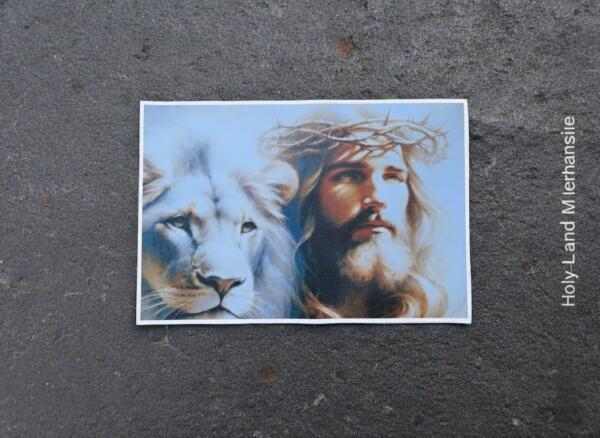 Jesus and Lion Canvas Print • Biblical Christian Wall Art • 20x30 cm Religious Modern Art • Jesus Art Print • Lion of Judah Christian Print