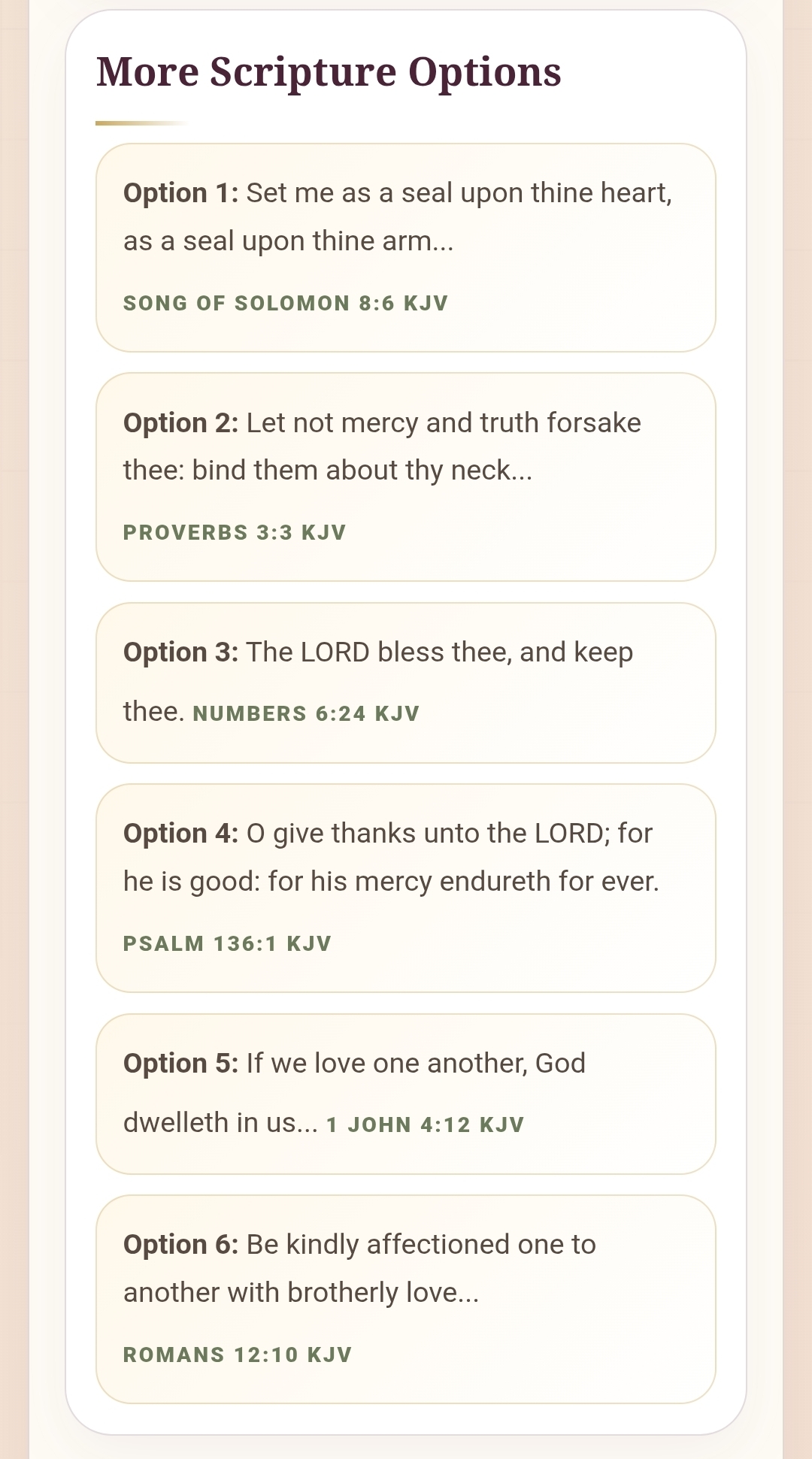 Christian Wedding Scripture Tool HTML, Wedding Vow Bible Verse Finder, Interactive Vow Helper, Ceremony Reading, Ring Exchange Prayer, Not PDF - Image 5